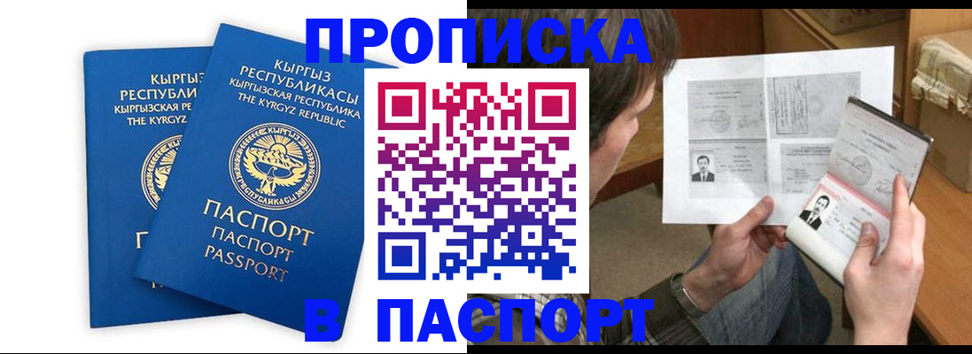 прописка гарантия в Борзе